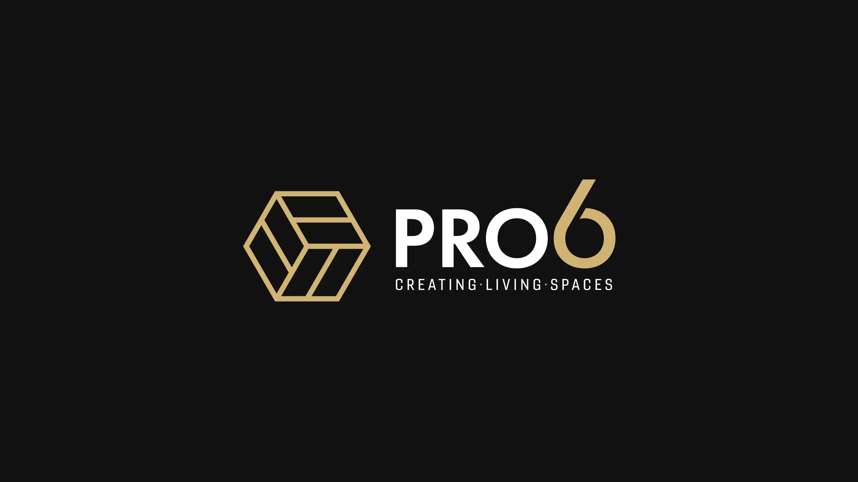 Logo pro6