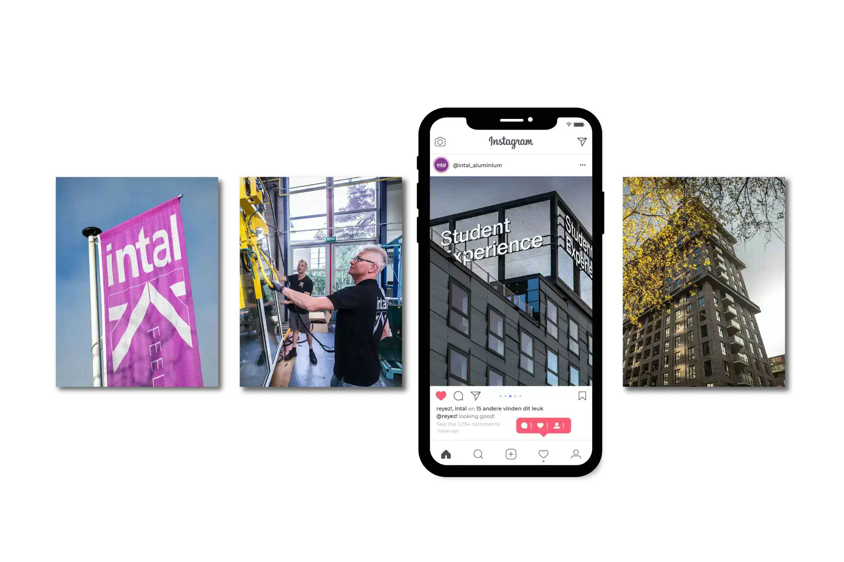 Mockup op telefoon de social media van Intal